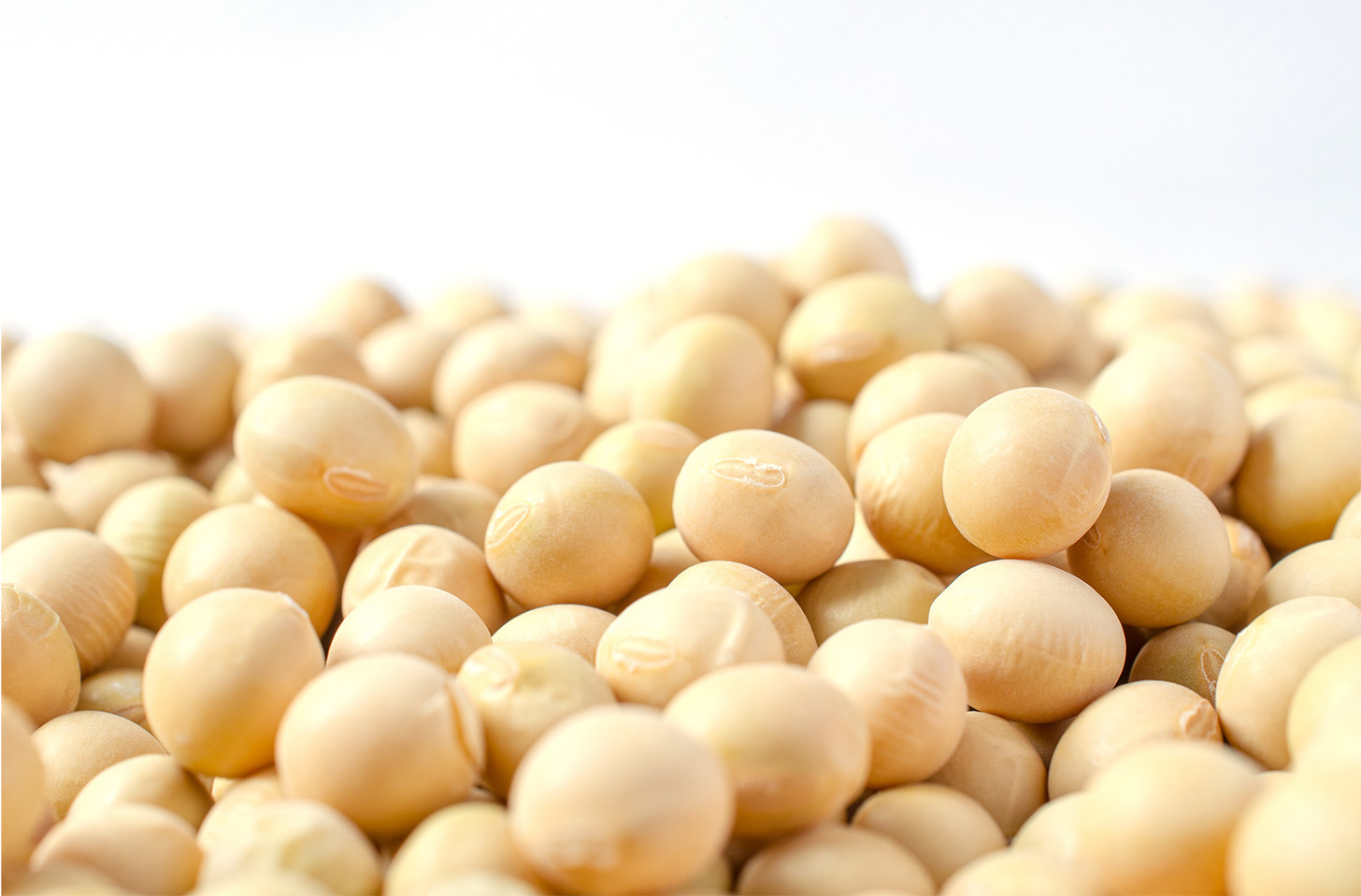 What about soybean fats?