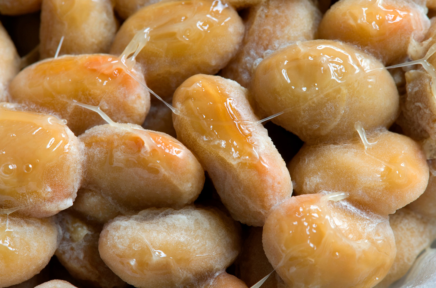 Components produced by the natto bacillus