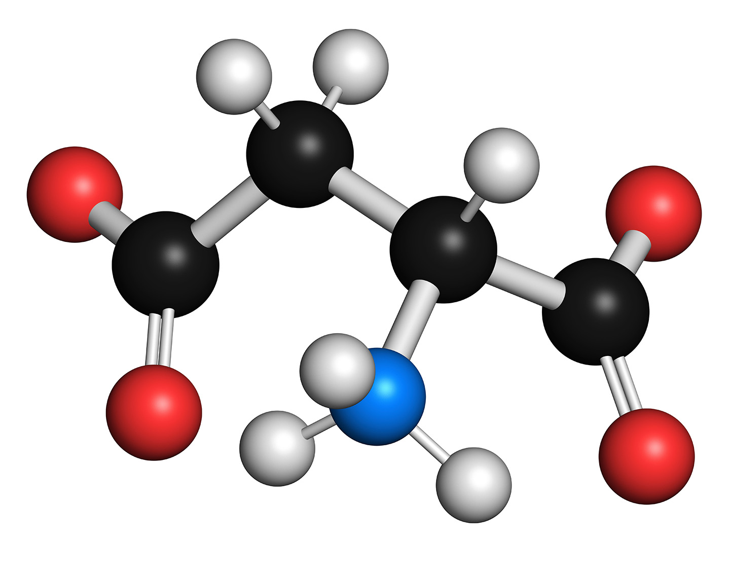 What exactly is protein?