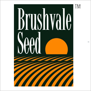 Brushvale Soy Products, LLC