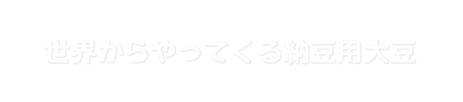 世界からやってくる納豆用大豆