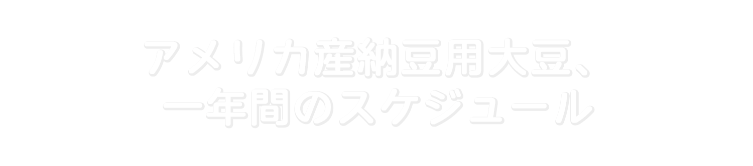 アメリカ産納豆用大豆、一年間のスケジュール