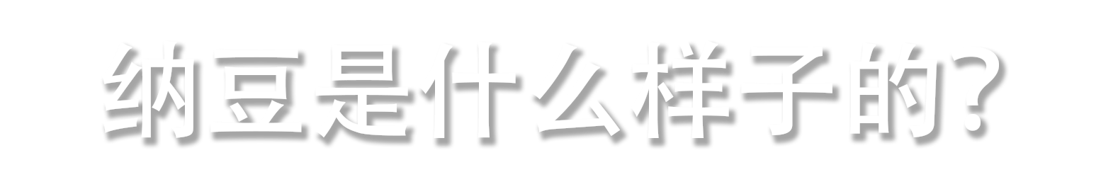 什么是纳豆？